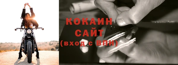МДПВ Инсар