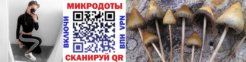 купить  цена  Вытегра  Псилоцибиновые грибы мухоморы 